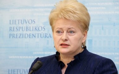 Президент Литви вважає, що Європі загрожує «гаряча, а не холодна війна»