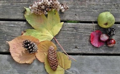 29 октября - какой сегодня праздник: приметы и что нельзя делать