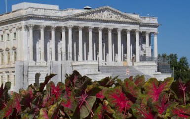 Что известно о планах сенаторов США