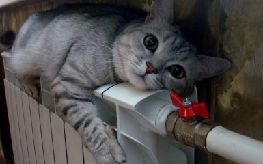 Минрегион: сделано всё возможное для устранения любой внештатной ситуации с тепло- и водоснабжением