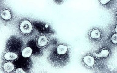 Китайський коронавірус: вчені виявили нову загрозу