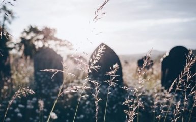 В РФ распространяют инструкцию для быстрой организации братских могил