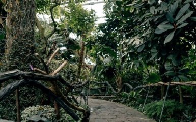 Оранжерея Ботсада Гришко оказалась под угрозой — помочь может каждый украинец