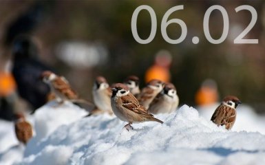 Прогноз погоди в Україні на 6 лютого