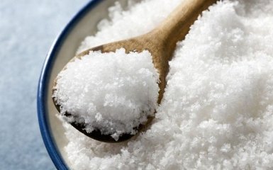 Путин отдал соль чайкам: новый указ властей России взбудоражил соцсети