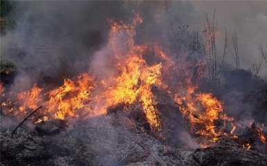 Пожежа на полігоні в Чернігівській області: військові прояснили ситуацію