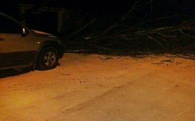 На Донбасі випав сніг дивного кольору: соцмережі губляться в версіях