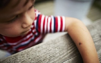 У Данії зафіксований перший в Європі випадок зараження вірусом Зіка