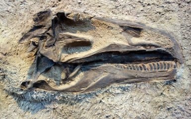 Динозавры начали вымирать до падения астероида — научная теория
