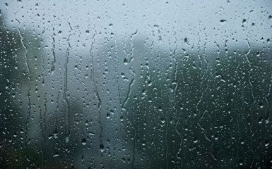 За снігом прийде тепло: чого чекати від примхливої осені в Україні