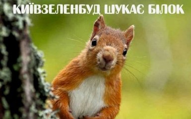 Київська влада потішила вакансією фахівця по білках