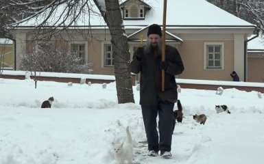 В России устроили крестный ход котов: опубликовано видео