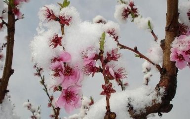 Заморозки і сніг: в Україні різко погіршиться погода