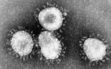 Смертельный коронавирус: стало известно, как в Китае лечат больных