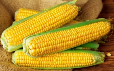 Чим корисна кукурудза та як смачно її приготувати