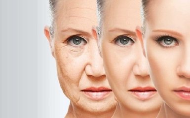 Впервые в истории: ученые смогли остановить старение клеток человека