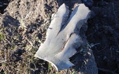 Боевики на Донбассе продолжают стрелять из "Градов": появилось видео последствий