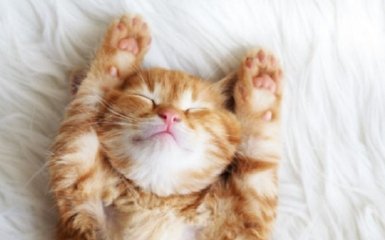 Як позбутися нічних жахів - геніальний лайфхак