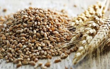 РФ с начала войны пыталась вызвать в Украине голод — The Guardian