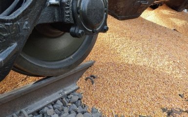 Зерно направлялось в Германию. "Укрзалізниця" отреагировала на действия польских фермеров
