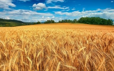 Саудовские инвесторы вложат более $10 млрд в Украину