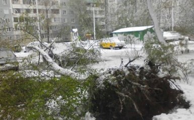 Ще одне місто накрило снігом, повалені десятки дерев: з'явилися фото