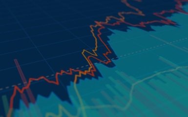 Мінфін розкрив критичний недолік розподілу грошей МВФ в Україні