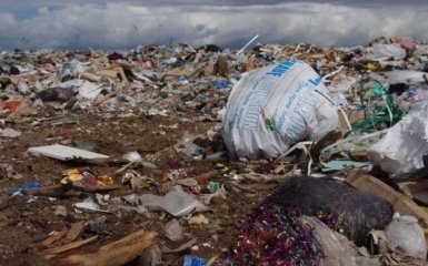 У Підмосков'ї ввели режим підвищеної готовності через викид газу на звалищі