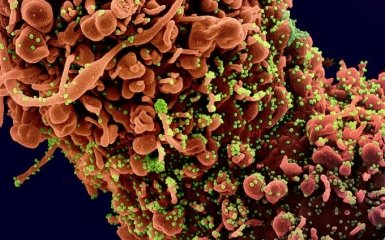 ВООЗ визнала поширення штаму Дельта майже в сотні країн світу