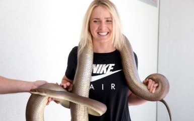 Свитолину на Australian Open напугали огромной змеей: опубликовано видео
