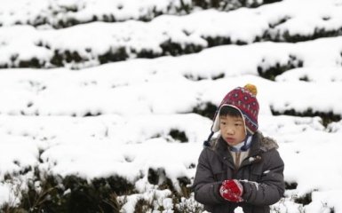 Аномальные холода убили десятки человек на Тайване