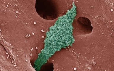 нейролептик