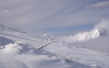 В Болгарии две мигрантки погибли от холода