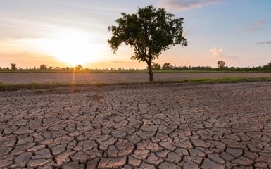Засуха