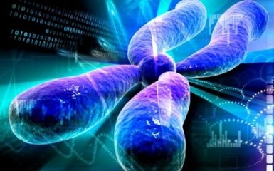 Впервые в истории: ученые заявили о сенсационном научном прорыве