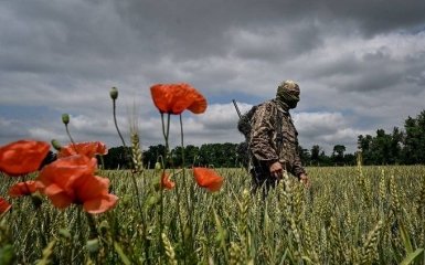 Тарнавський заявляє про просування ЗСУ на Таврійському напрямку