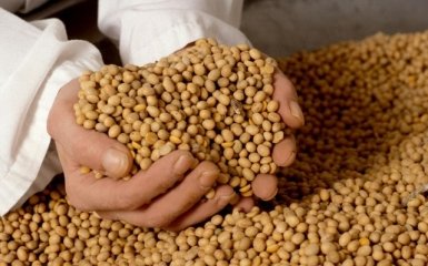 В Україні реалізували вже 11 проектів для сільського бізнесу