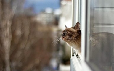 Майже весна. Якою буде погода в Україні на початку тижня