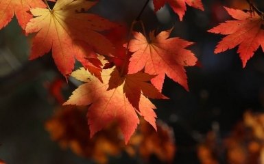 13 октября - какой сегодня праздник: приметы и что нельзя делать