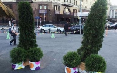 Соцсети взорвали "хвойные пенисы" в Москве: появилось фото