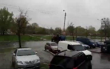 Коммунальщики Киева поливали деревья под дождем: появилось видео