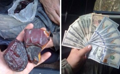 Бурштиновий Клондайк: в мережу виклали нові подробиці, фото і відео нелегального видобутку