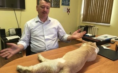 Боевик Стрелков увидел Путина в болоте и напророчил ему скорый крах: громкое интервью The Guardian