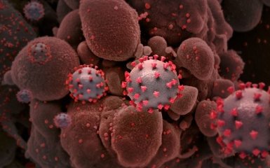 В Японії попередили про загрозу "олімпійського" штаму коронавірусу