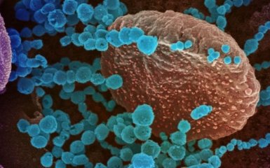 Коронавірус та глобальна економіка: G7 виступила із заспокійливою заявою