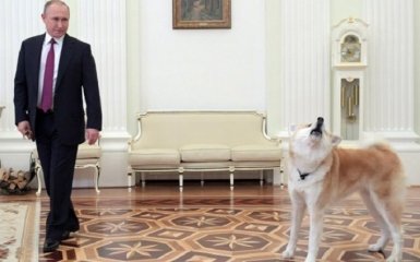 Появилось видео с собакой Путина, облаявшей японцев: соцсети в шоке