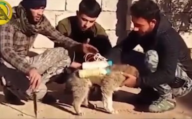 ИГИЛ шокировал новаторской идеей насчет смертников: опубликовано видео