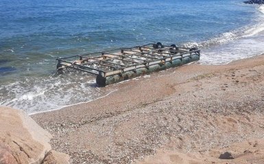 Смітник та кладовище тварин. ДПСУ показала наслідки російського екоциду для Чорного моря — відео