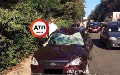 Збитий під Києвом лось став причиною величезного затору: опубліковані фото