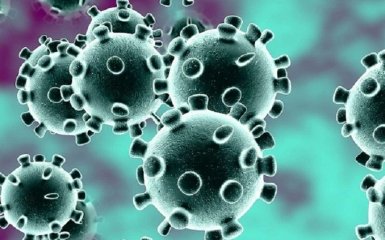 Что больше всего защищает людей от коронавируса — ученые удивили ответом